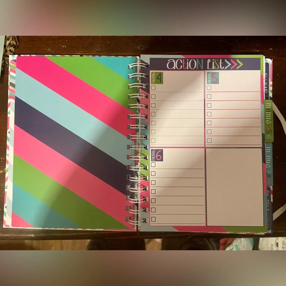 Denise Albright Budget Binder™ Bill Tracker Financial Planner | Geo Design. NEW